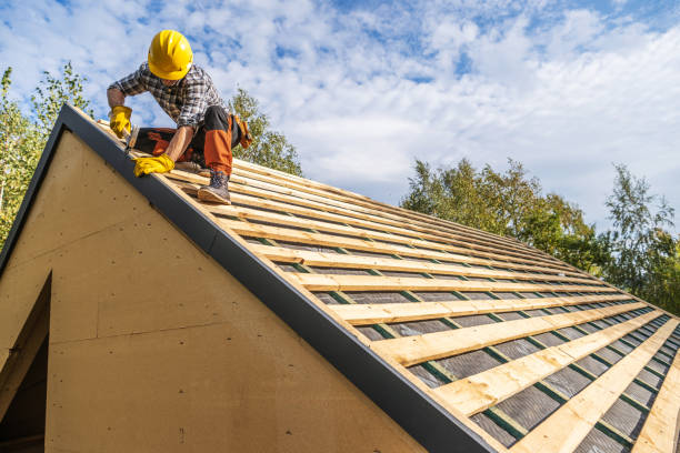 Roof Gutter Cleaning in Moyock, NC