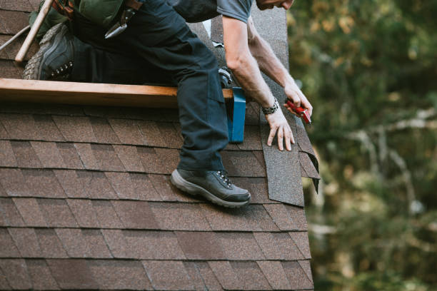 Best Roof Gutter Cleaning  in Moyock, NC